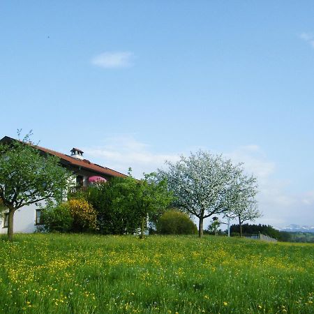 דירות באד אנדורף Pichler Roswitha מראה חיצוני תמונה